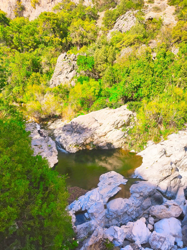 Acequias del Guadalmina