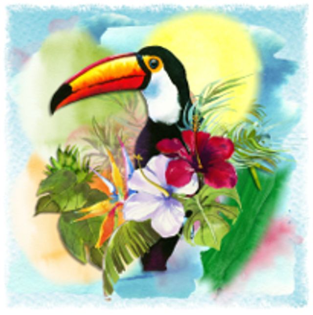 Hand made Cards - Nature