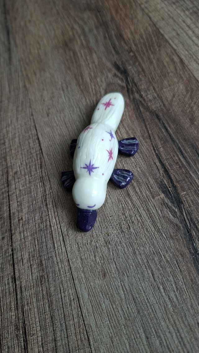 Ornithorynque gardien n°1