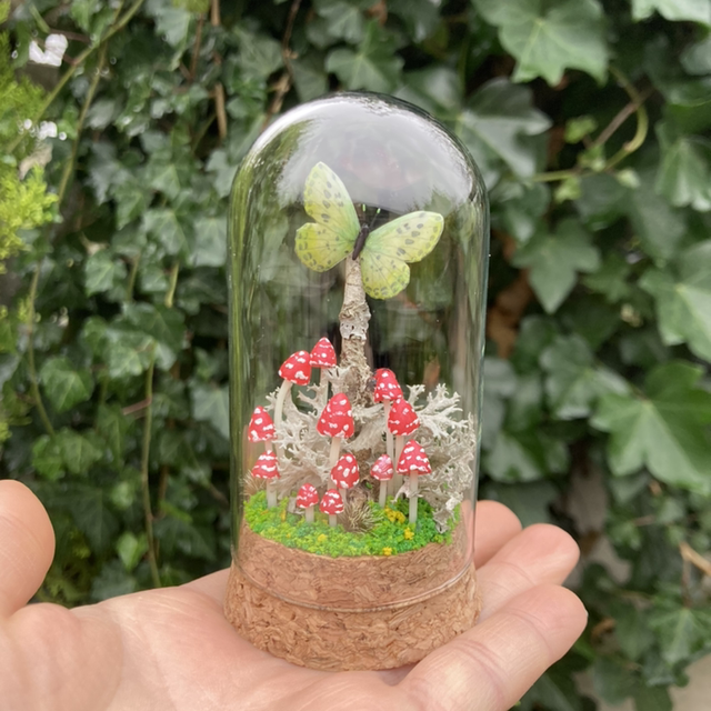 Papillon vert champignons phosphorescents