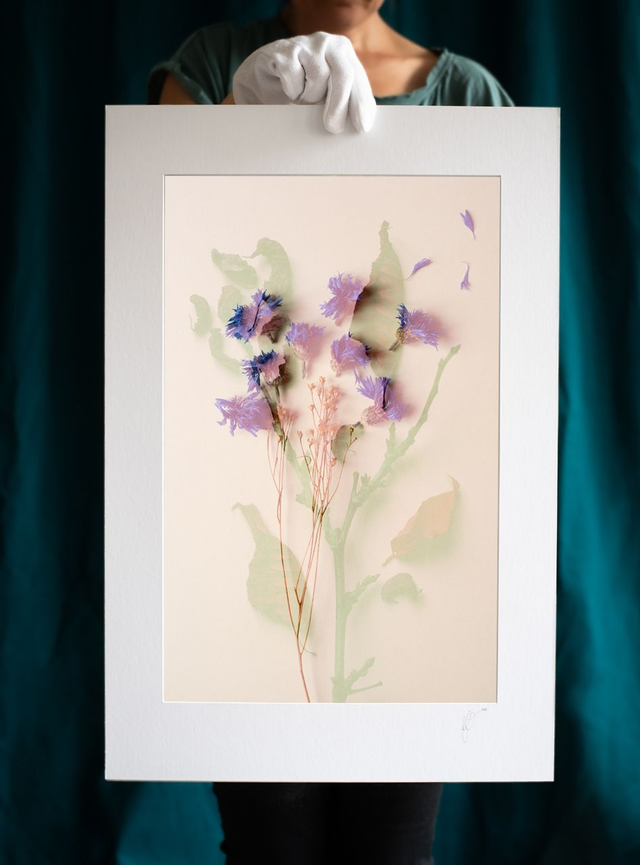 Fleurs éternelles - 2