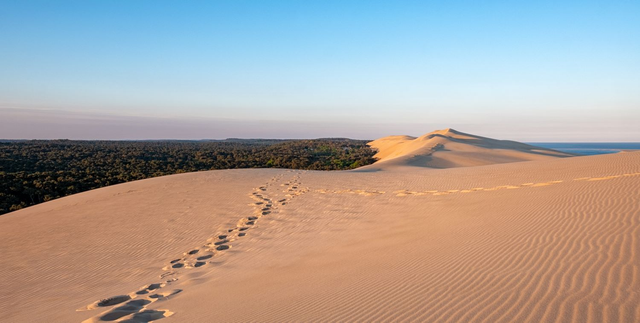 Quelques pas de Dune format panoramique sur toile 60X120