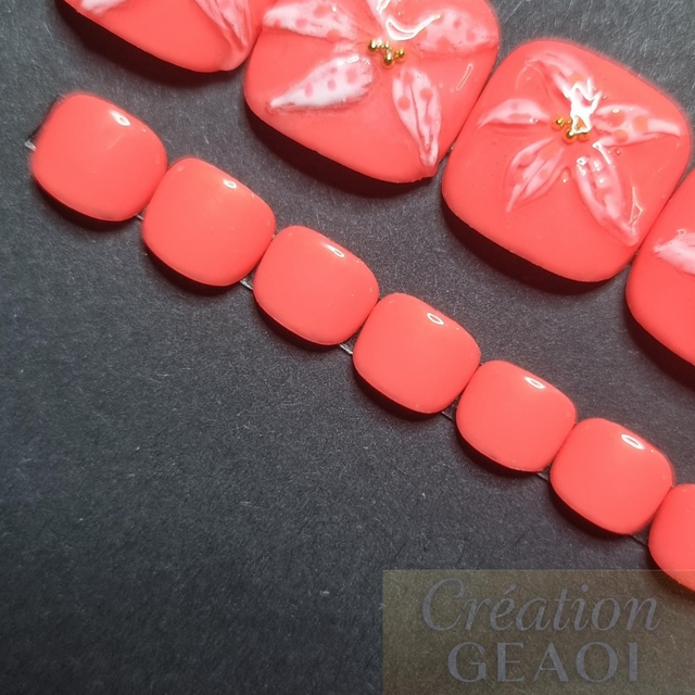 Corail sun flower little pieds