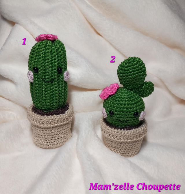 Cactus Kawaii