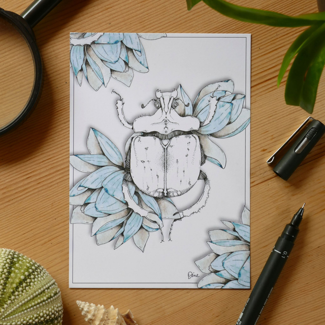 CARTE POSTALE – Lotus bleu