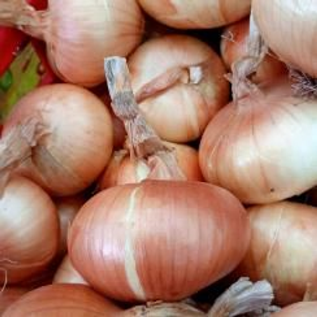 Cebolla Semiseca