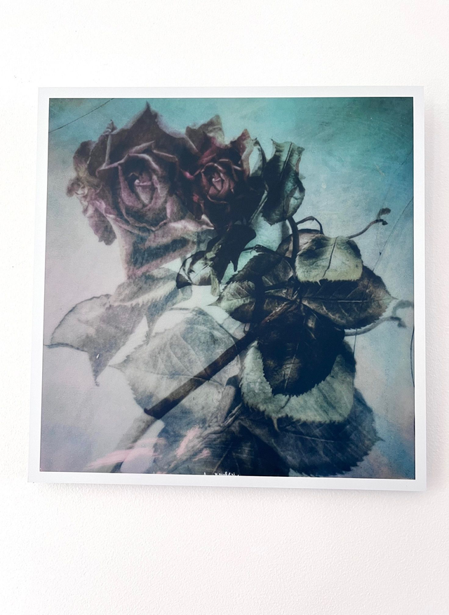 Les fleurs du silence