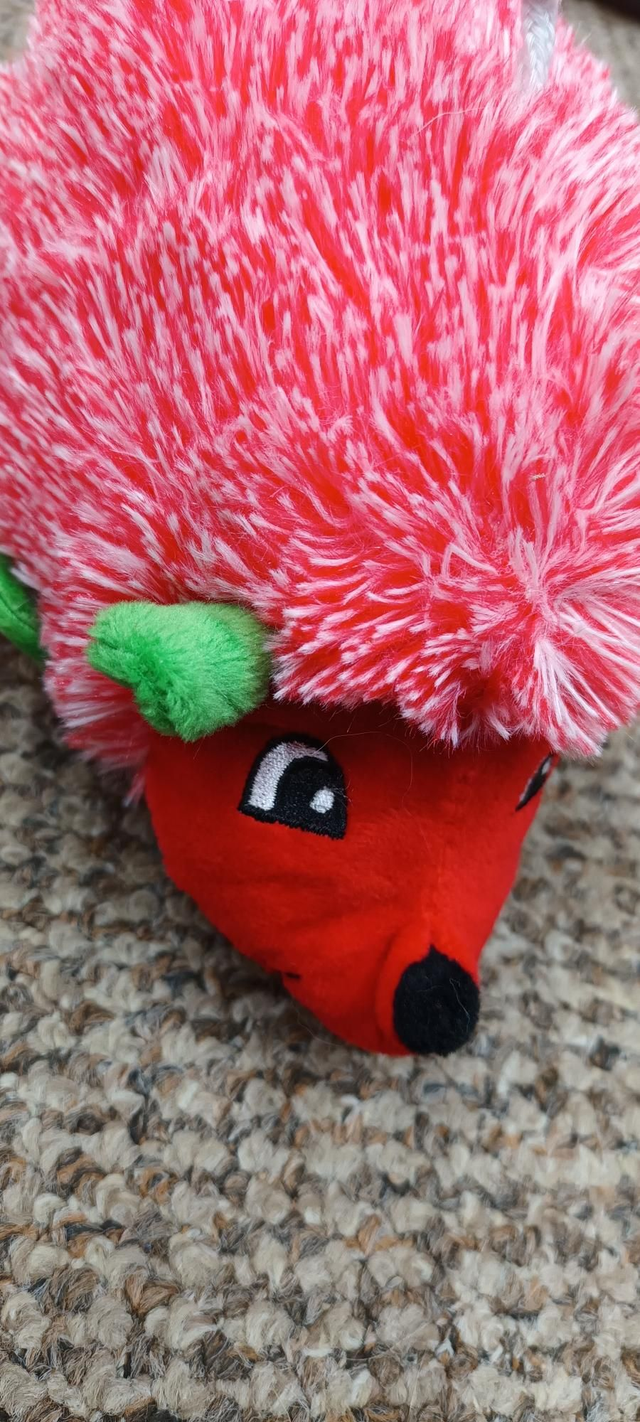 Kong squeaky Christmas hedge hog 
