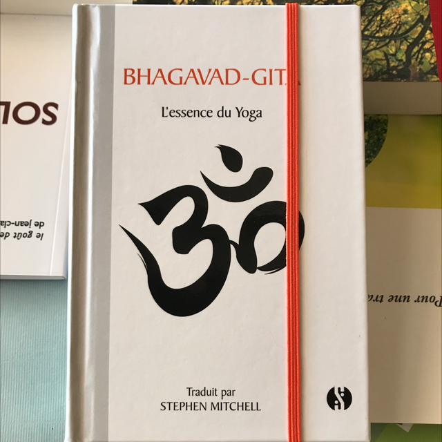BHAGAVAD-GITA - L’essence du Yoga