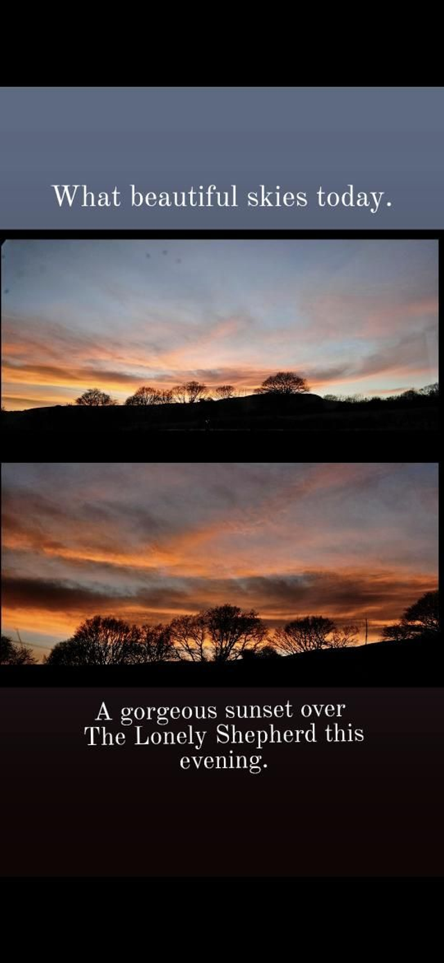 Brush Strokes & Blooms - Tuesday 2nd September - Golden Hour - 4pm - 8pm