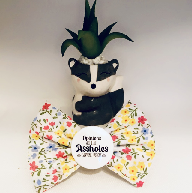 Opinions are like assholes everyone has one 