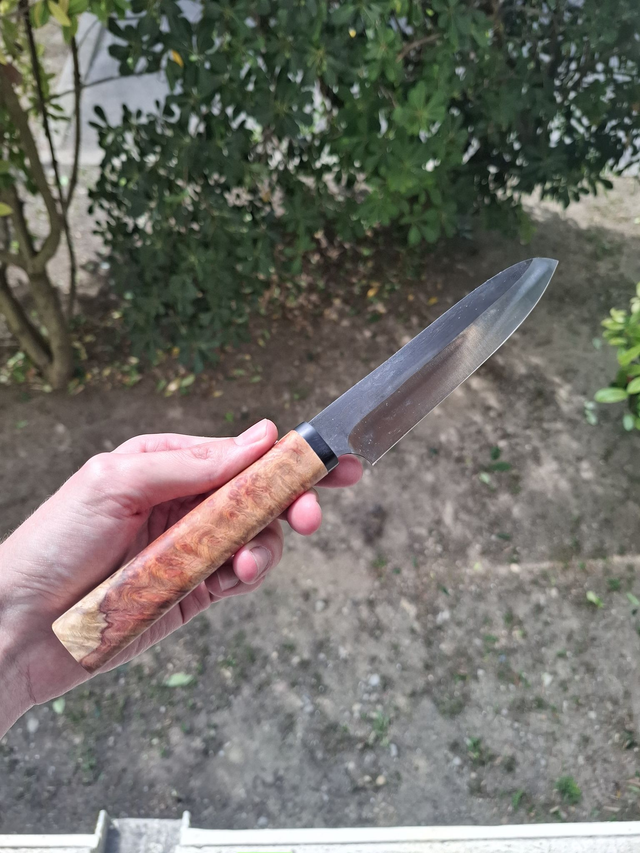 Multi 13 - Loupe d'amboine