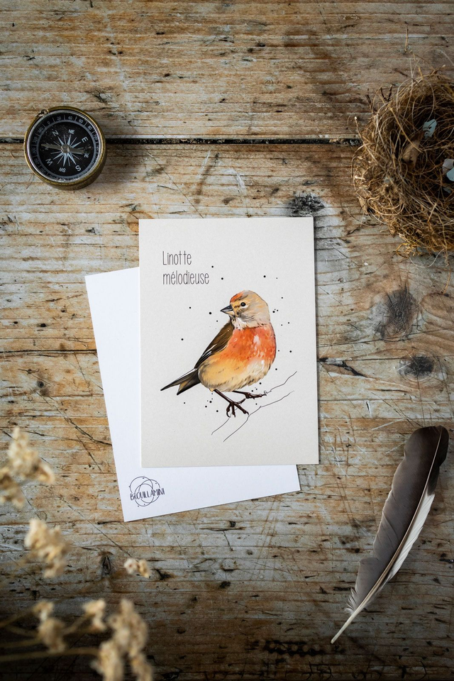 LINOTTE MÉLODIEUSE - Carte format A6  