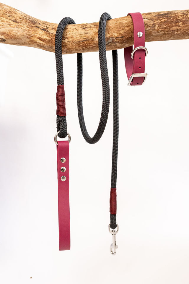 Laisse Noire/Prune en corde et Biothane®