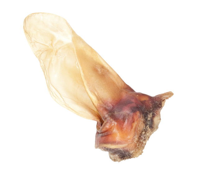 XXL Rinderohr mit Muschel - aus Bayern