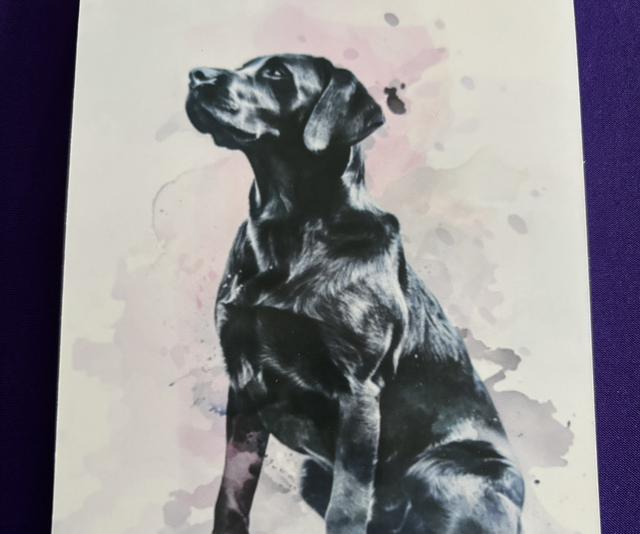 Plain Note Pad Dog - Black Labrador