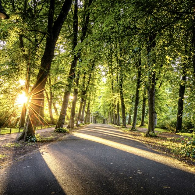 Promenade im Gegenlicht