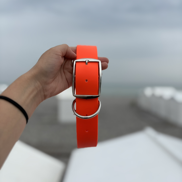 Collier biothane XXL