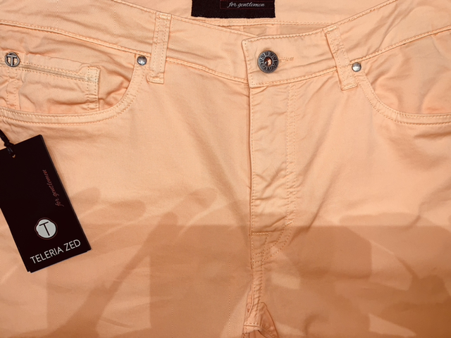 Pantalon 5 poches Teleria Zed