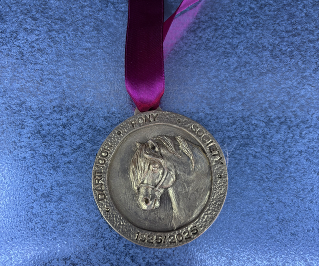 Centenary Medal