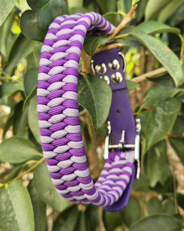 Collier biothane - Taille M