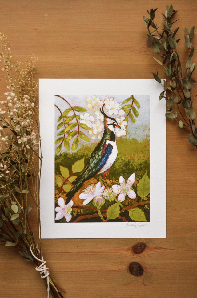 Wading Lapwing | Print