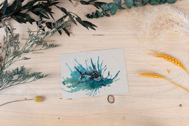 Graspapierkarte - Riffhai