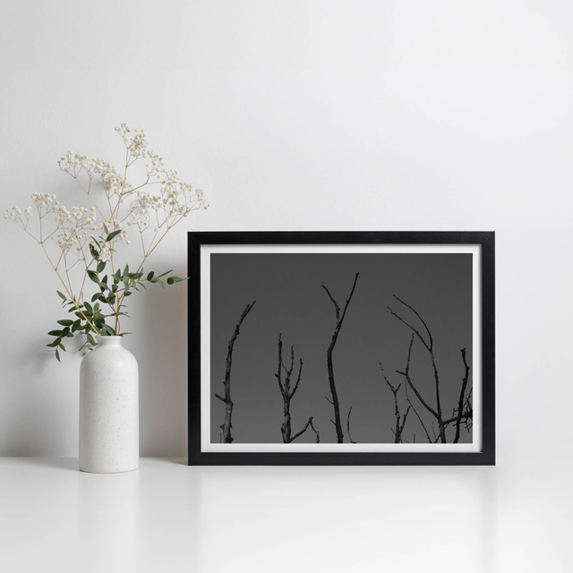 Tirage papier - Bois mort