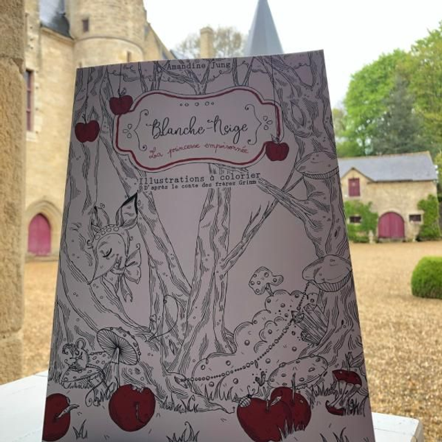 Livre de coloriage Amandine Jung (adultes)