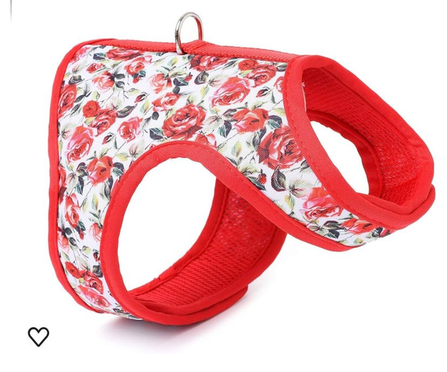 Red Rose Dog Harness
