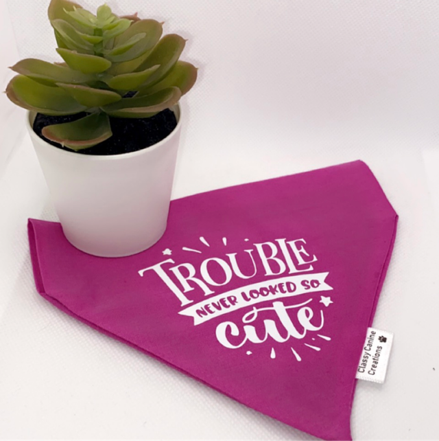 Trouble Never Looked So Cute 