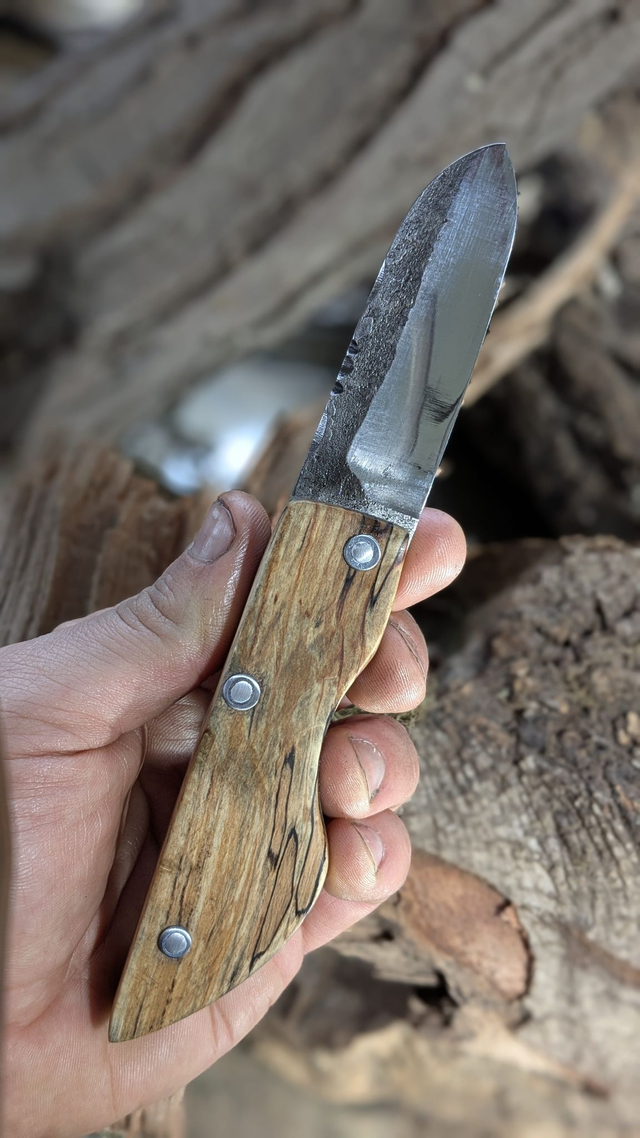 Hêtre ou ne pas être