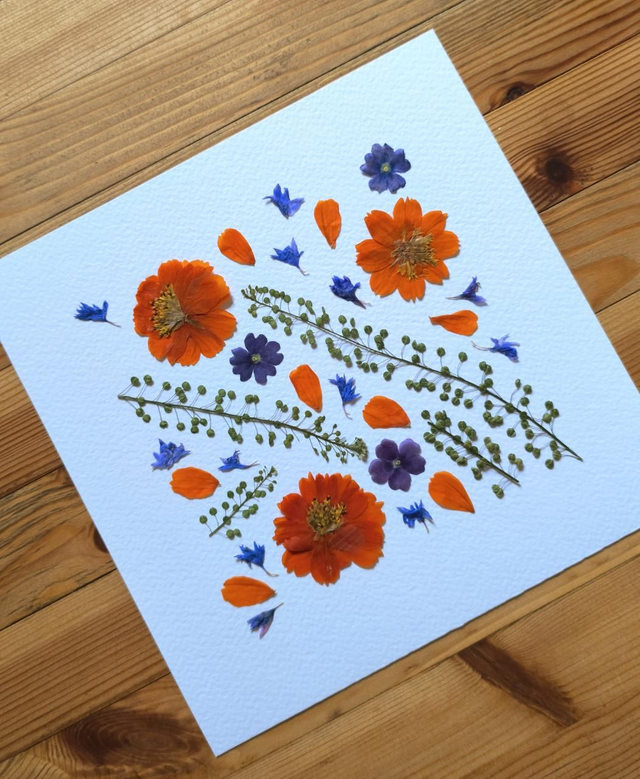 Herbier d'Art Mosaïque