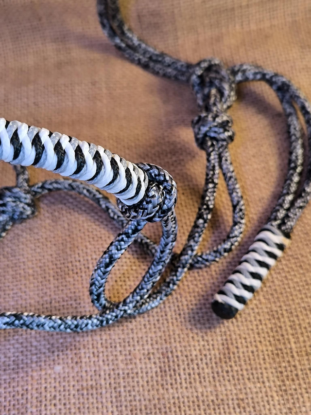 🩶 Licol "Gris Silex"   Taille COB