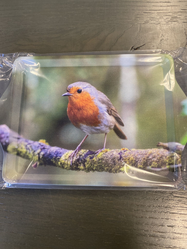 Dienblad Roodborstje