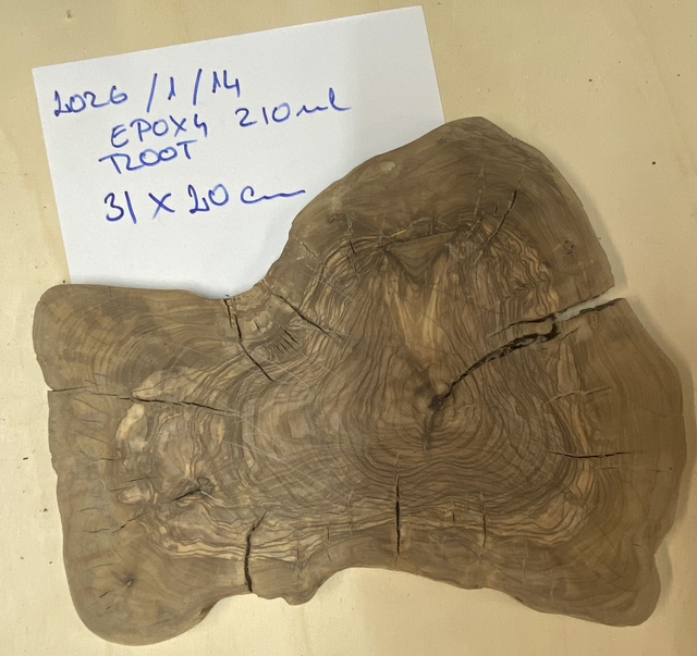 Bespoke Olive Root Serving Board – No. 2026/1/14