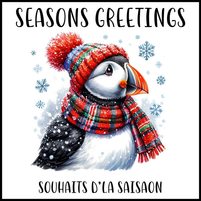 102A - CHRISTMAS CARD - PUFFIN SNOWFLAKES