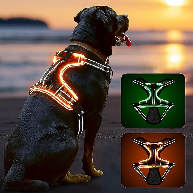 Light Up Dog Harness Rechargeable LED