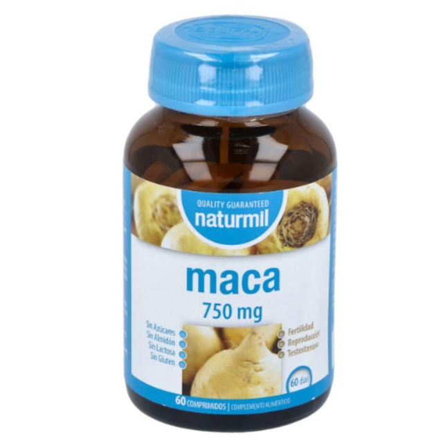 MACA