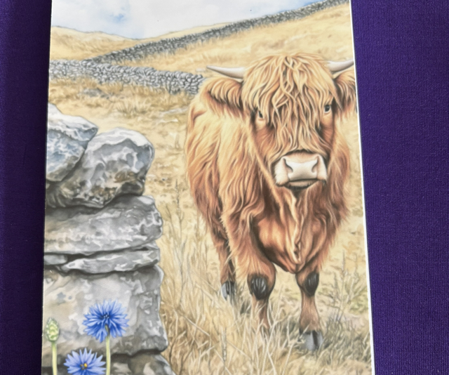 Plain Note Pad Cow Highland with Cornflower