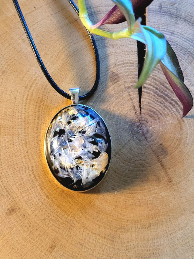 Black&Gold Cornflower