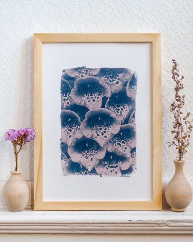 Les fleurs de digitale