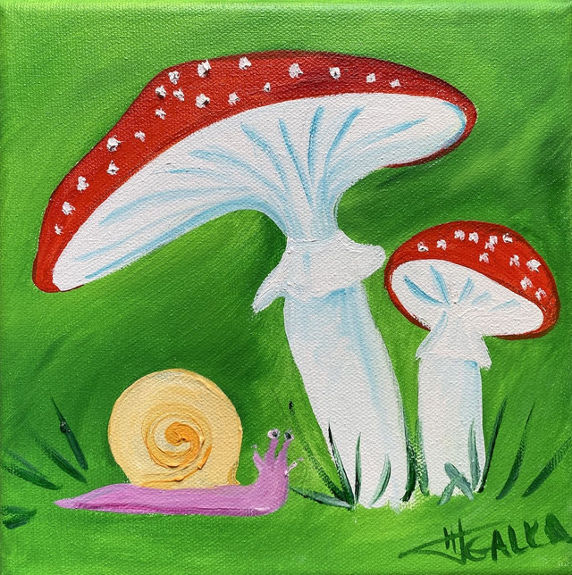 Champignons Galka (n58)