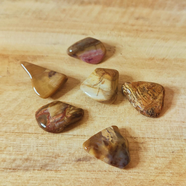 Pierre roulée Bois Fossilisé A (petite)