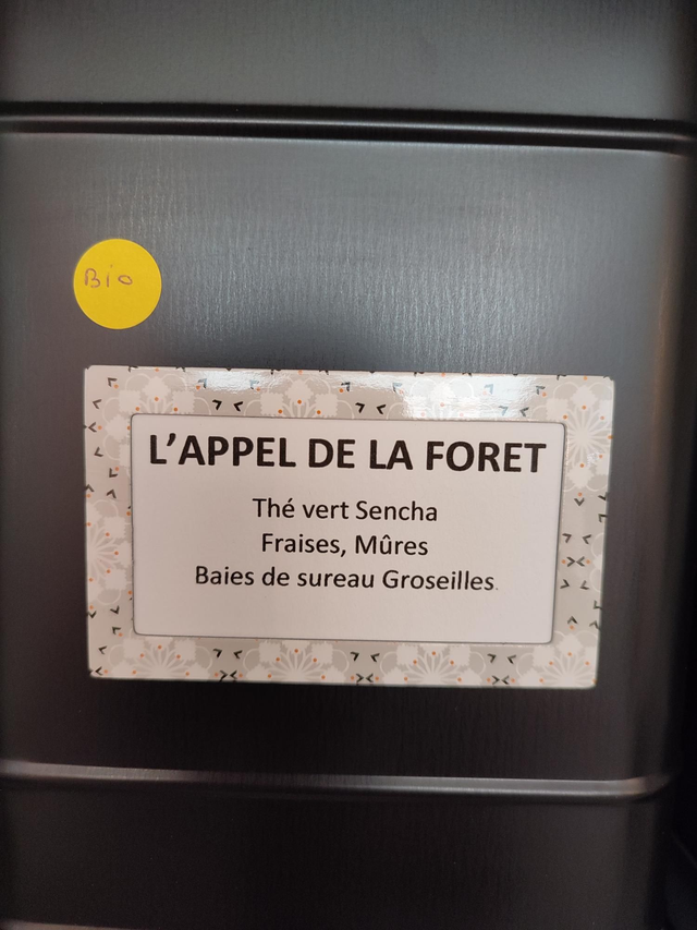 L'appel De La Forêt 