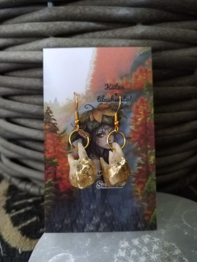 Peuran hammas / Deer Tooth