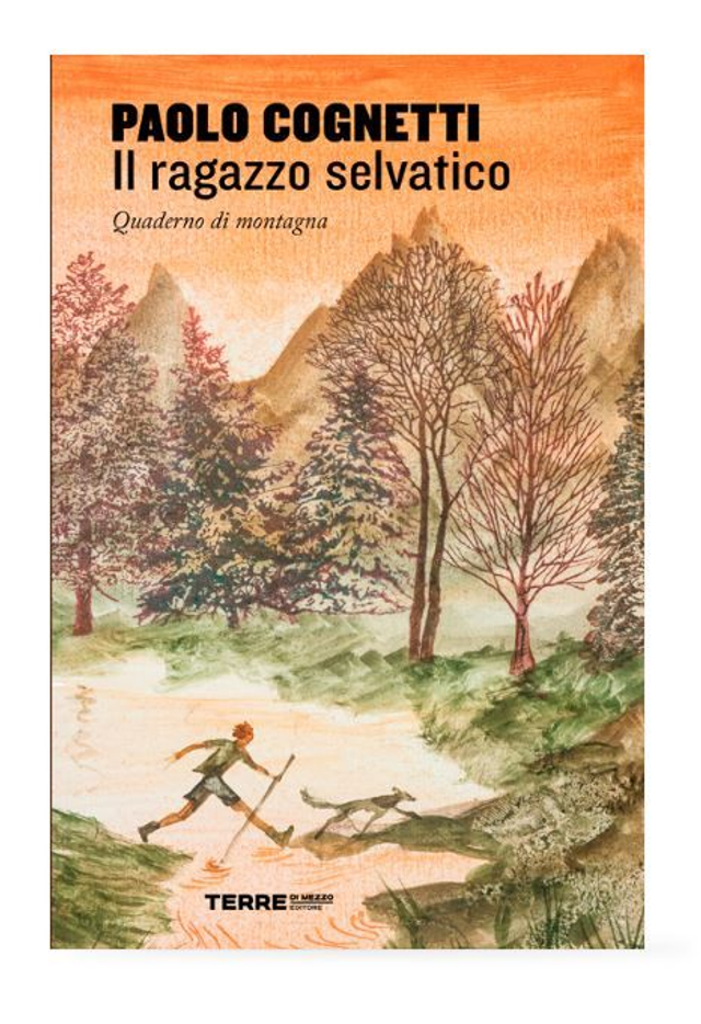 Il ragazzo selvatico. Quaderno di montagna - di Paolo Cognetti