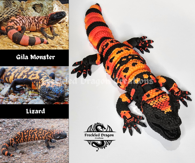 Gila Monster Lizard