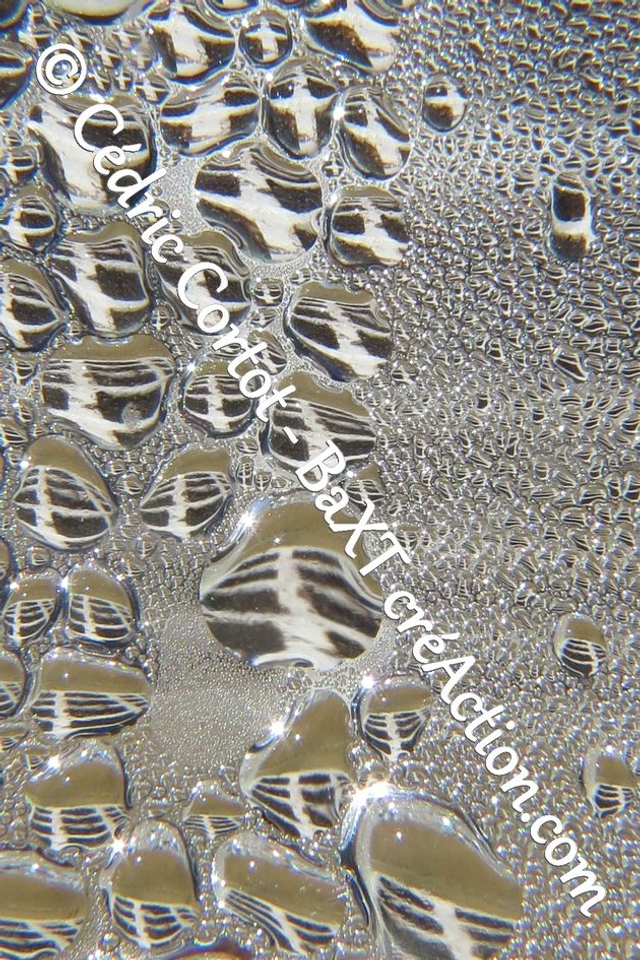 Impression sur alu dibond - Rosée et gouttes de pluie (ref 8792)