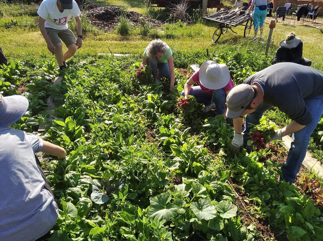 Séance du 2 avril 2025